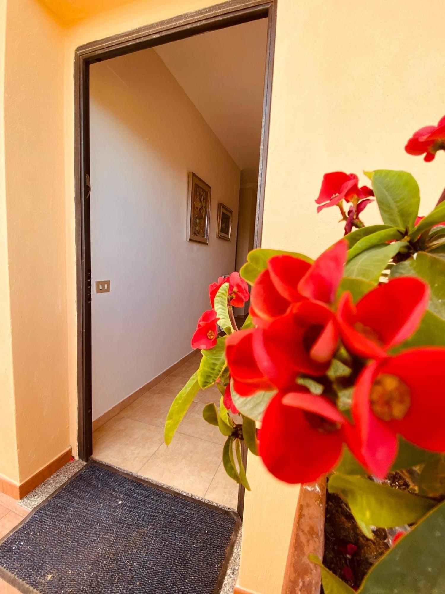 Villa Bella Vista Santa Domenica  Luaran gambar