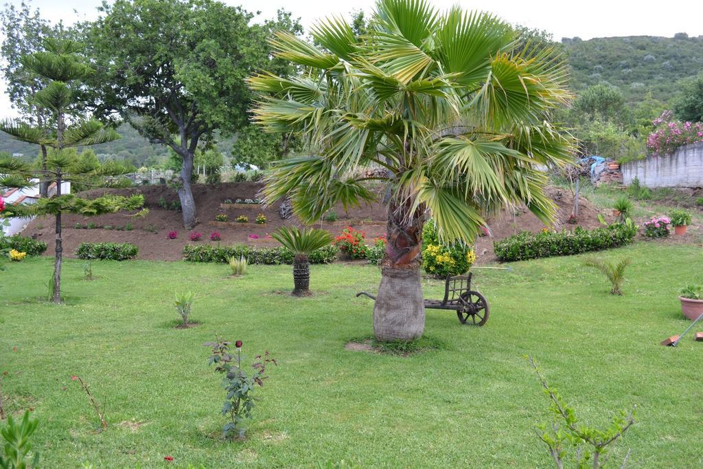 Villa Bella Vista Santa Domenica  Bilik gambar